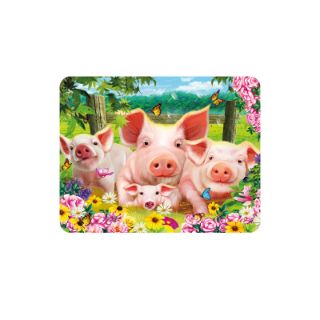 Obrázek z Magnet 3D 7x9cm - prasátka (25) 